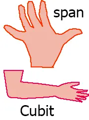 non-standard unit